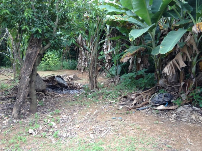 Sítio à venda Centro com 10000m² e 5 quartos por R$ 700.000 - 1870223176-unadjustednonraw-thumb-1ff.jpg