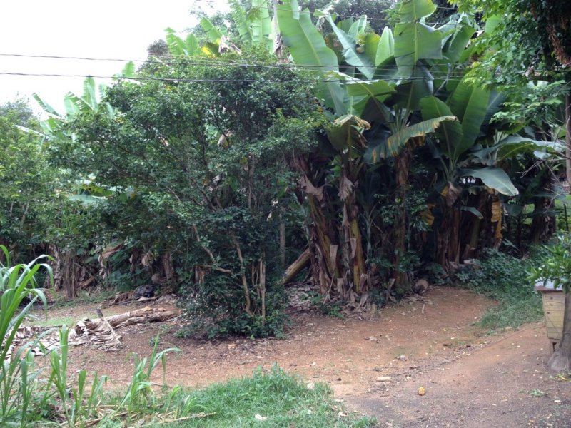 Sítio à venda Centro com 10000m² e 5 quartos por R$ 700.000 - 418520497-unadjustednonraw-thumb-20f.jpg