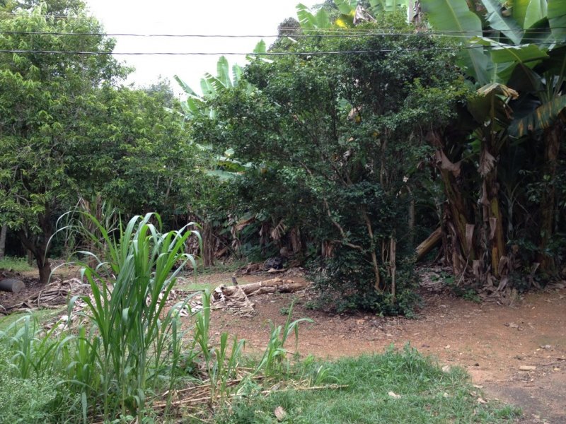 Sítio à venda Centro com 10000m² e 5 quartos por R$ 700.000 - 50386852-unadjustednonraw-thumb-211.jpg