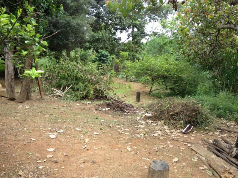 Sítio à venda Centro com 10000m² e 5 quartos por R$ 700.000 - 801417521-unadjustednonraw-thumb-215.jpg