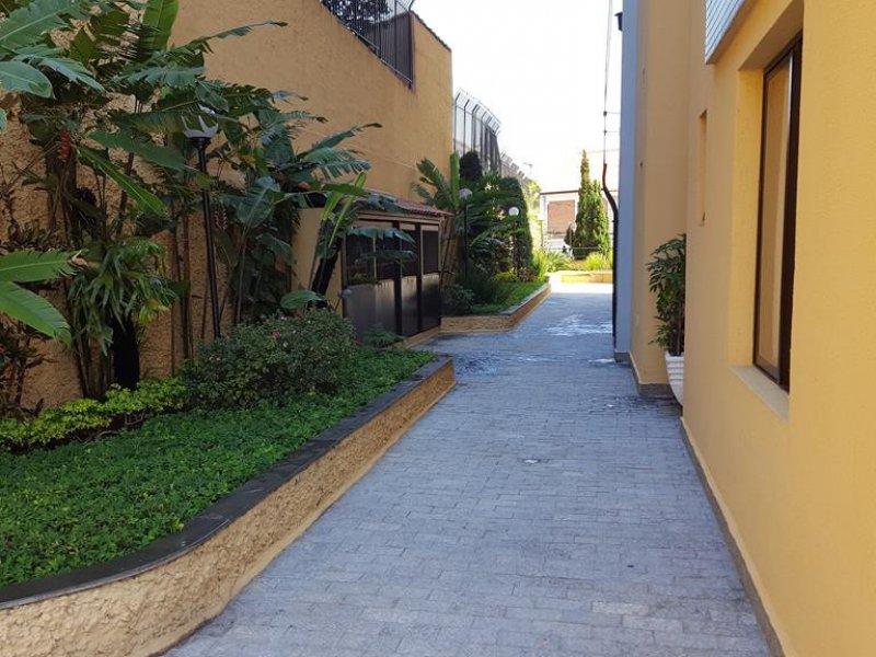 imóvel com 110m² - Água Fria - São Paulo