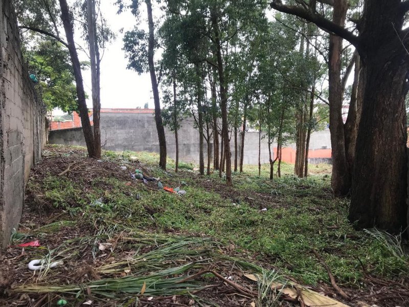 Terreno à venda Terceira Divisão de Interlagos com 760m² e  quartos por R$ 920.000 - 1779669279-terreno.jpg