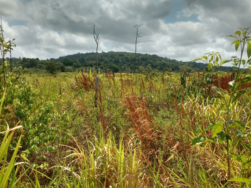 Fazenda à venda SEM BAIRRO com 11m² e 1 quarto por R$ 2.500.000 - 287866866-img-20170917-105401852-hdr.jpg