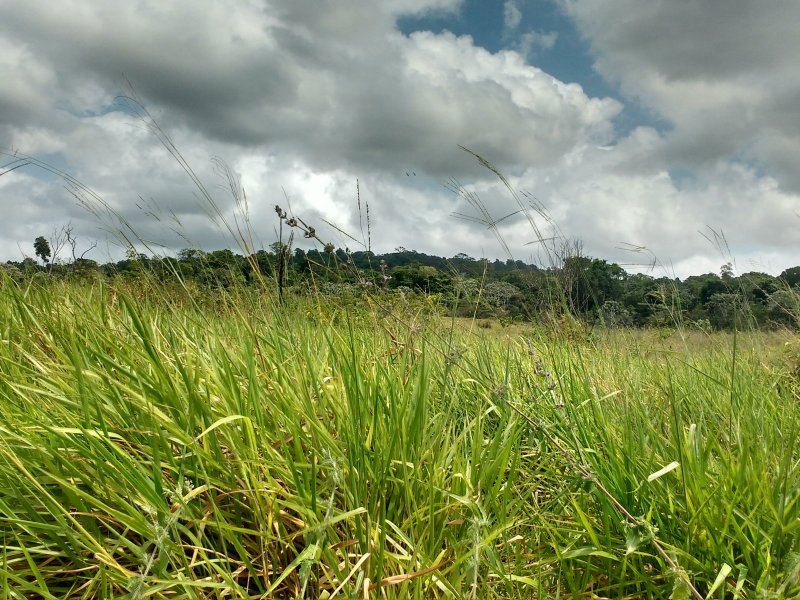 Fazenda à venda SEM BAIRRO com 11m² e 1 quarto por R$ 2.500.000 - 828954207-img-20170917-110008072-hdr.jpg