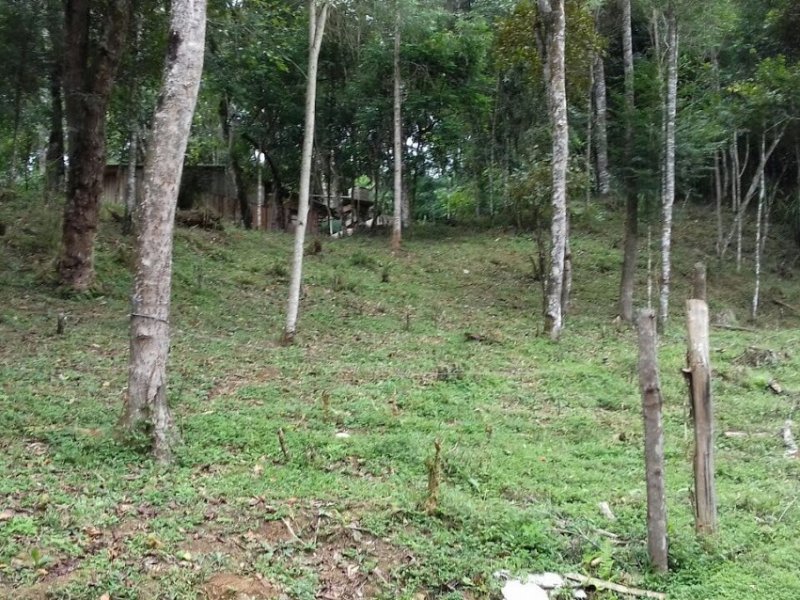 Terreno à venda São Miguel com 2500m² e  quartos por R$ 70.000.000 - 1630003242-img-3981.JPG