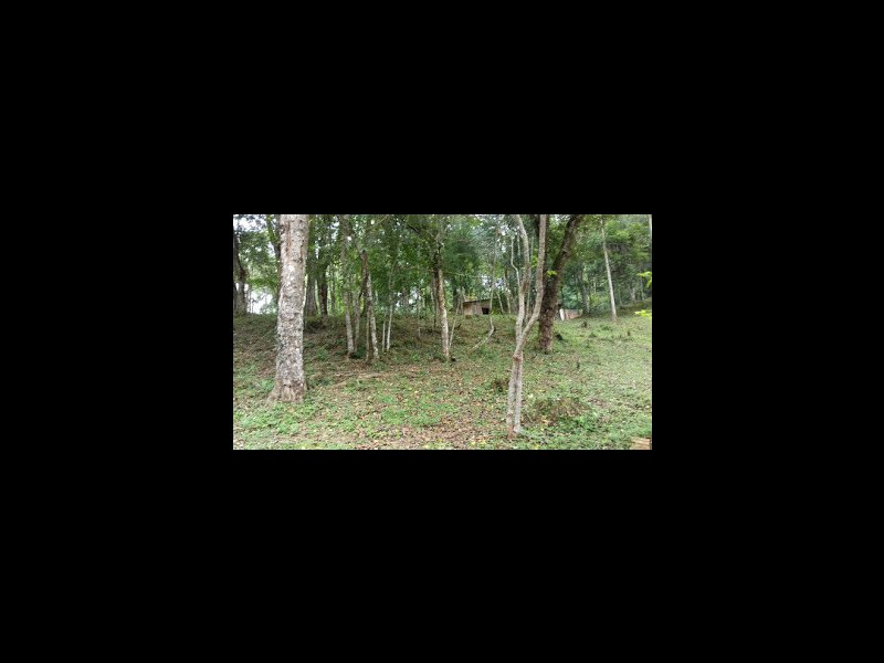 Terreno à venda São Miguel com 2500m² e  quartos por R$ 70.000.000 - 196540348-img-3980.JPG