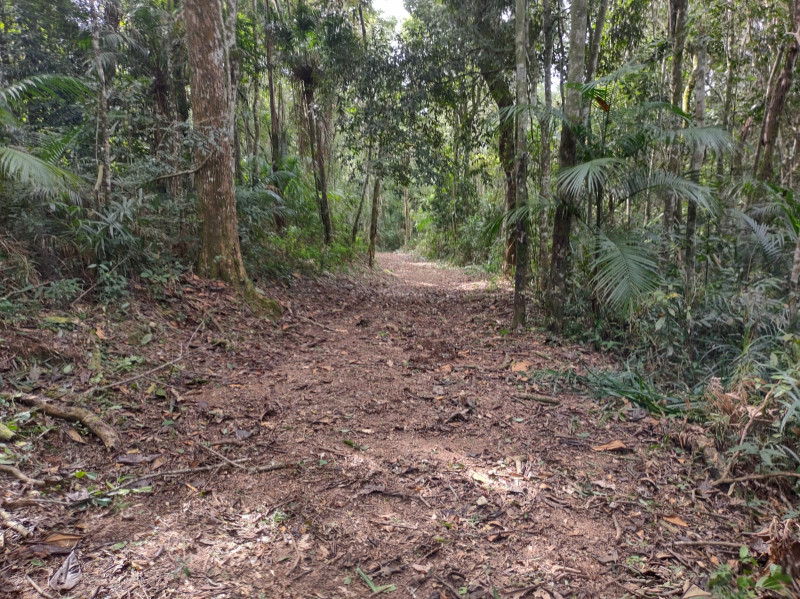 Terreno à venda Centro com 74000m² e 1 quarto por R$ 640.000 - 1117851034-whatsapp-image-2023-05-28-at-18.jpeg