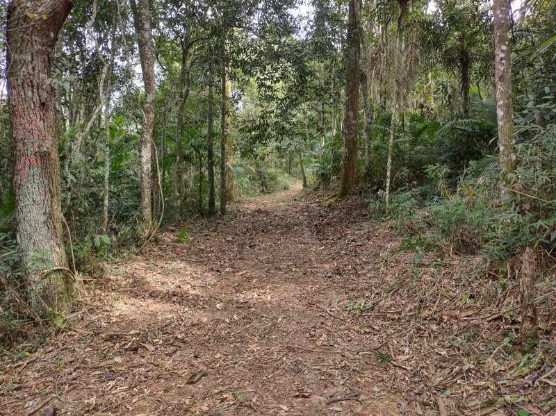 Terreno à venda Centro com 74000m² e 1 quarto por R$ 640.000 - 1189344937-whatsapp-image-2023-05-28-at-18.jpeg