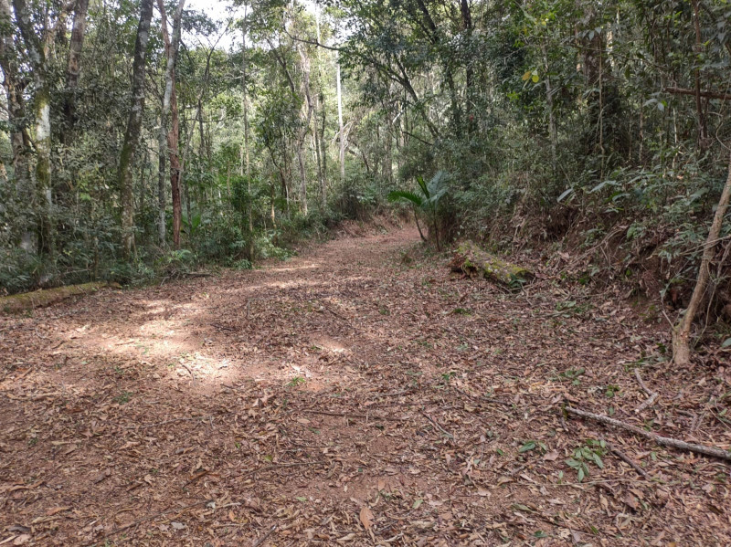 Terreno à venda Centro com 74000m² e 1 quarto por R$ 640.000 - 2123334522-whatsapp-image-2023-05-28-at-18.jpeg