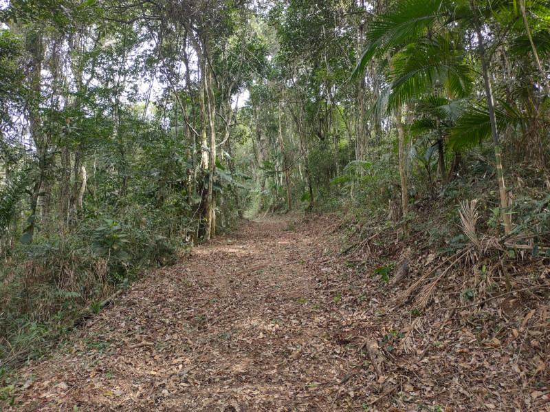 Terreno à venda Centro com 74000m² e 1 quarto por R$ 640.000 - 242290028-whatsapp-image-2023-05-28-at-18.jpeg
