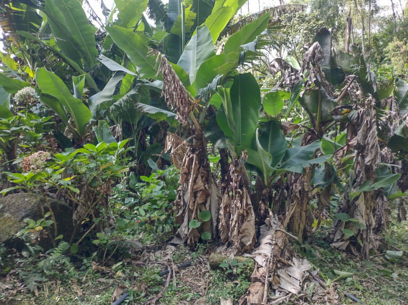 Terreno à venda Centro com 74000m² e 1 quarto por R$ 640.000 - 533974646-whatsapp-image-2023-05-28-at-18.jpeg