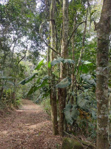 Terreno à venda Centro com 74000m² e 1 quarto por R$ 640.000 - 648227413-whatsapp-image-2023-05-28-at-18.jpeg