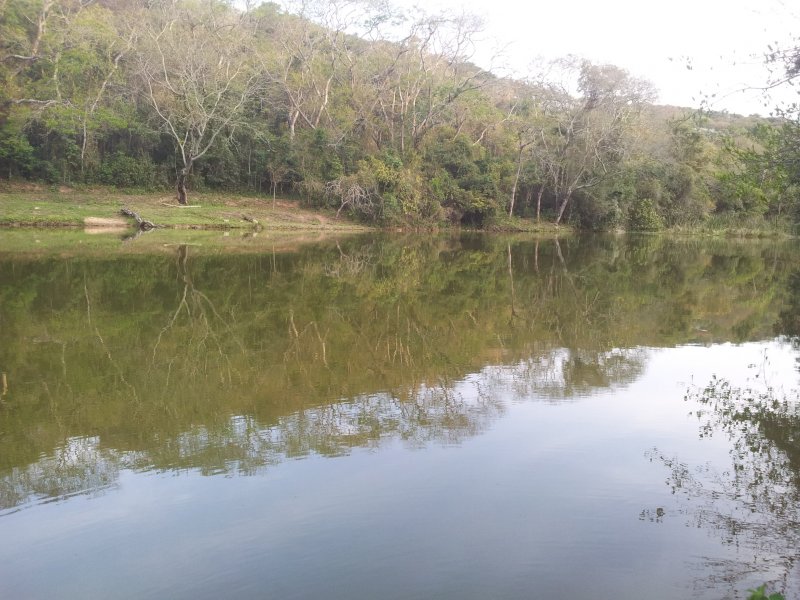 Terreno à venda Vila Machado com 39000m² e  quartos por R$ 4.641.000 - 1519296218-20140907-164636.jpg