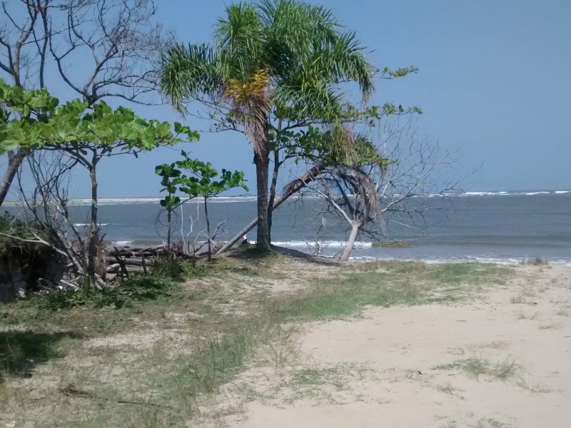 Terreno à venda Icapara com 420m² e  quartos por R$ 21.800 - 797662714-img-20141012-131051966.jpg