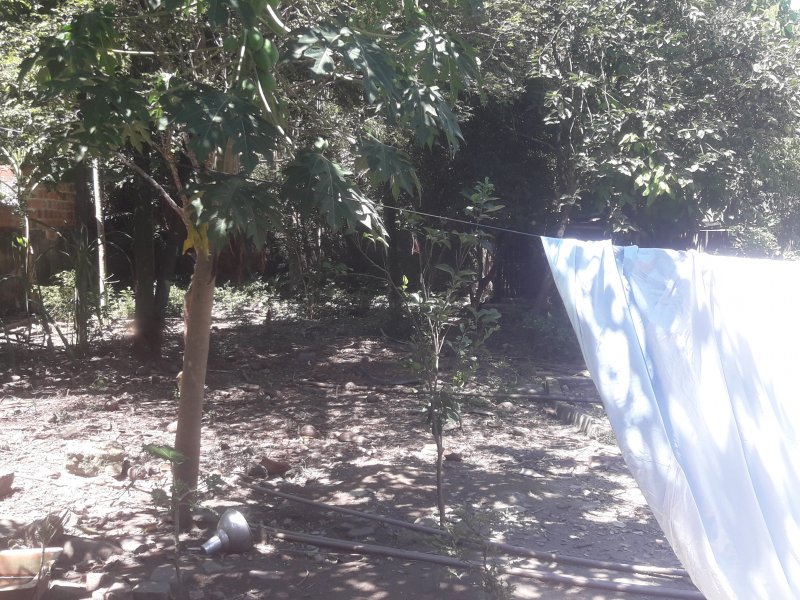 Sítio à venda Vl. Angélica com 800m² e 3 quartos por R$ 90.000 - 629328751-20190224-133819.jpg