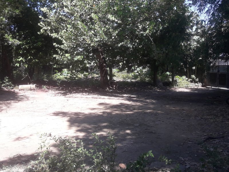 Sítio à venda Vl. Angélica com 800m² e 3 quartos por R$ 90.000 - 971059725-20190224-134227.jpg