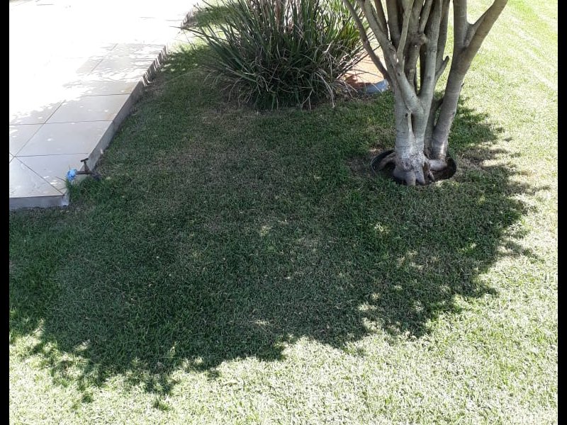 Chácara à venda Centro com 2000m² e 6 quartos por R$ 1.200.000 - 1036637733-img-20190308-wa0048.jpg