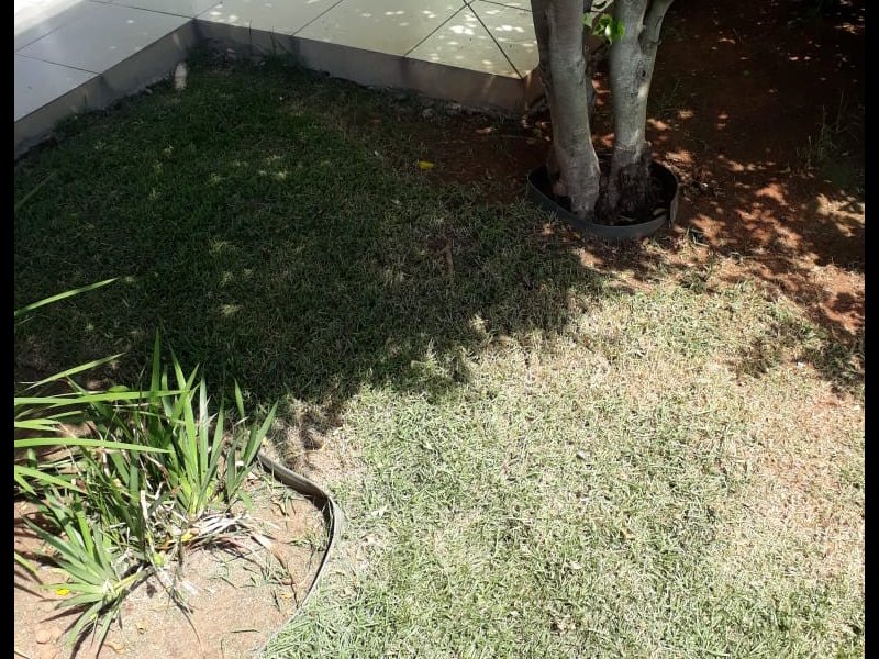 Chácara à venda Centro com 2000m² e 6 quartos por R$ 1.200.000 - 1206962185-img-20190308-wa0054.jpg