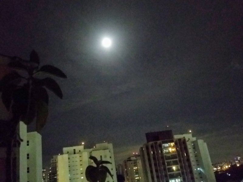 Apartamento à venda Santana com 64m² e 3 quartos por R$ 500.000 - 617550844-img-20190220-221746368.jpg