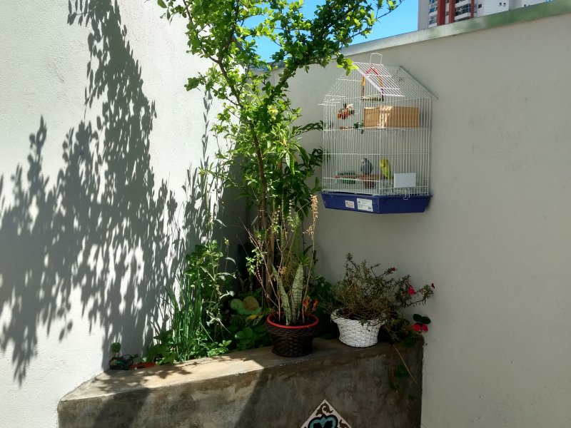 Apartamento à venda Vila Regente Feijó com 140m² e 3 quartos por R$ 1.150.000 - 1053121352-img-20190128-110823284-hdr.jpg