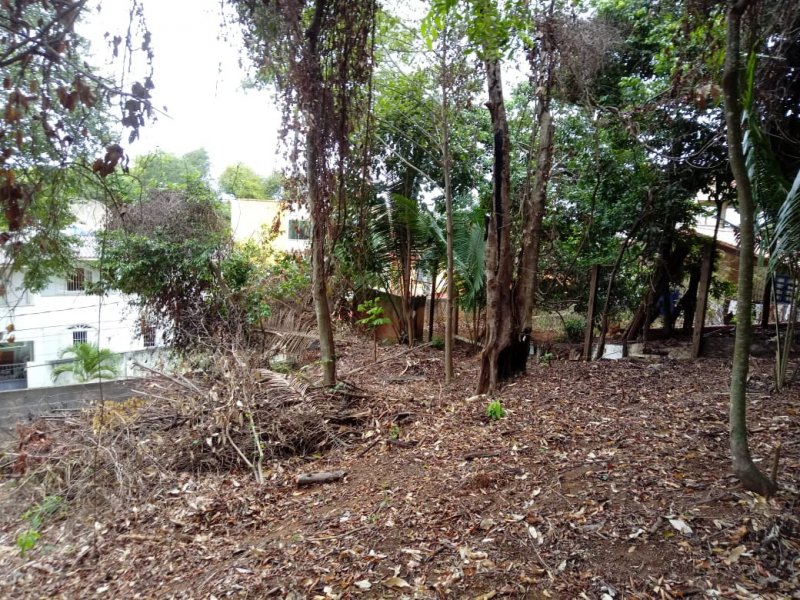 Terreno à venda Sol Nascente com 420m² e  quartos por R$ 420.000 - 1200798325-09.jpeg