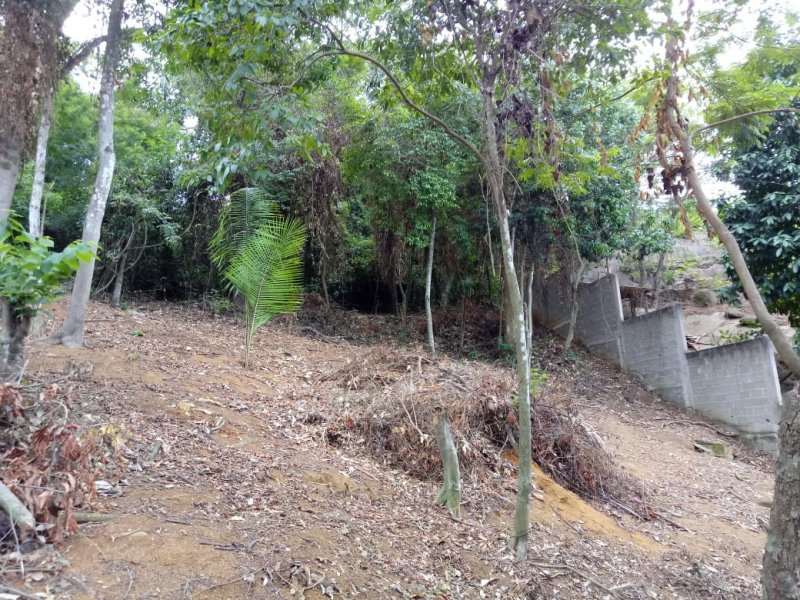 Terreno à venda Sol Nascente com 420m² e  quartos por R$ 420.000 - 1787583039-04.jpeg