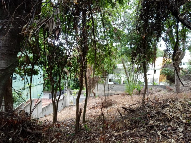 Terreno à venda Sol Nascente com 420m² e  quartos por R$ 420.000 - 196207857-06.jpeg