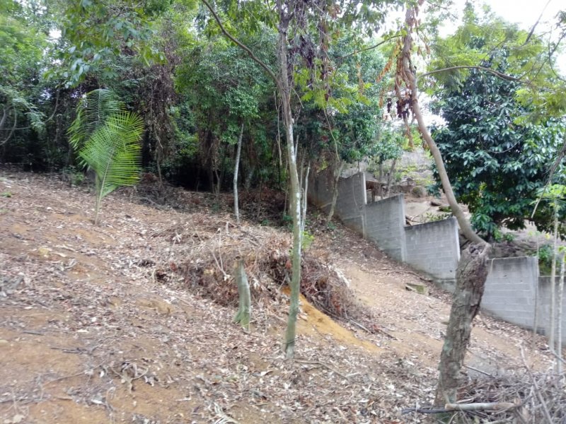 Terreno à venda Sol Nascente com 420m² e  quartos por R$ 420.000 - 2072669823-05.jpeg
