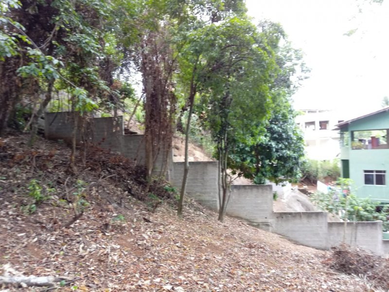 Terreno à venda Sol Nascente com 420m² e  quartos por R$ 420.000 - 601995706-10.jpeg