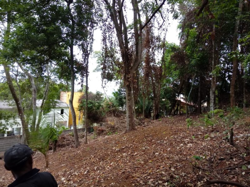 Terreno à venda Sol Nascente com 420m² e  quartos por R$ 420.000 - 845361955-07.jpeg