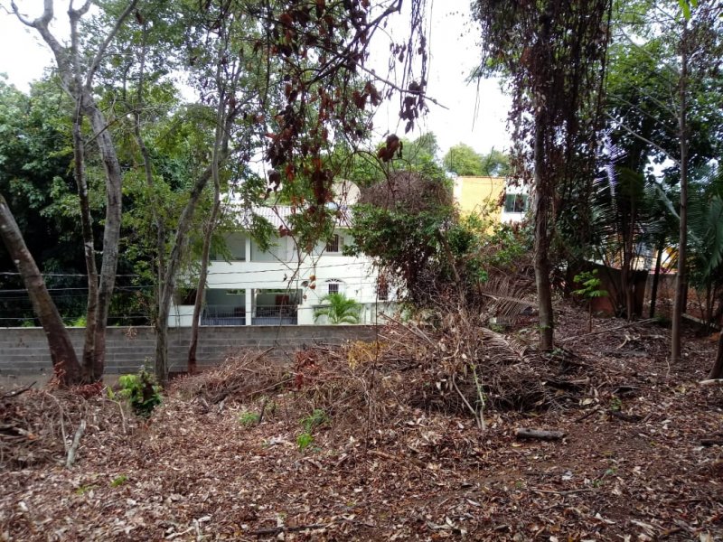 Terreno à venda Sol Nascente com 420m² e  quartos por R$ 420.000 - 915389991-08.jpeg