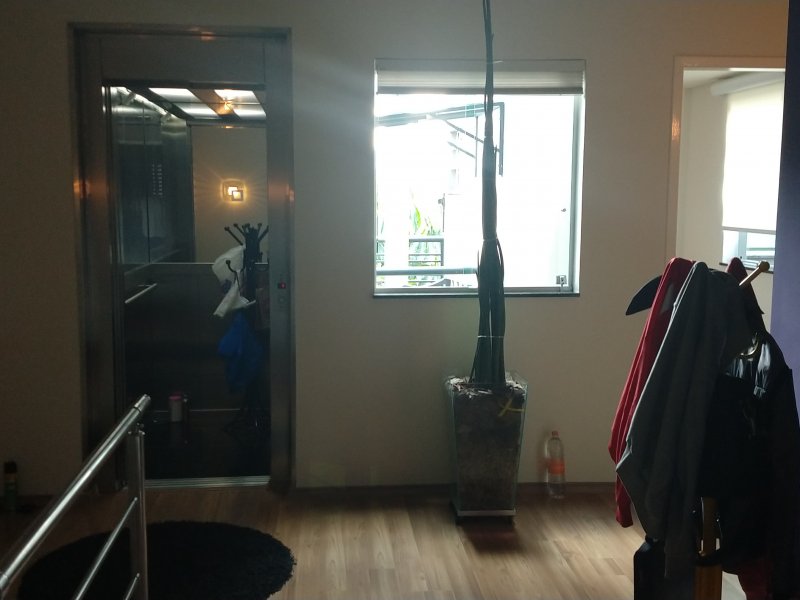 Casa à venda Santana com 315m² e 5 quartos por R$ 1.850.000 - 1750875271-img-20190416-131951518.jpg