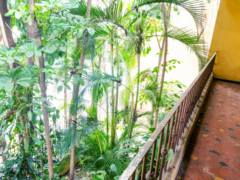 Casa à venda Jardim Paulistano com 240m² e 4 quartos por R$ 3.800.000 - 218223056-marco-raw-22.jpg