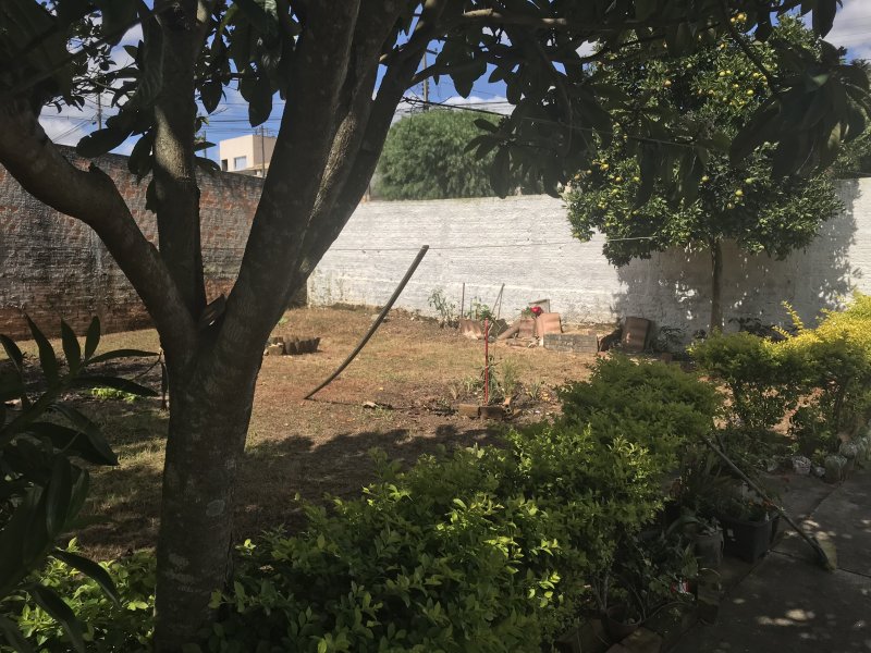 Casa à venda Fazenda Velha com 80m² e 2 quartos por R$ 370.000 - 1690715583-8d02b272-d18d-4fb9-ad03-d0e6b753fb14.jpeg