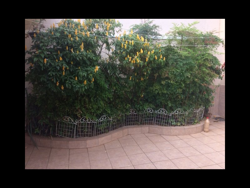 Casa à venda Interlagos com 90m² e 3 quartos por R$ 1.200.000 - 1824301289-img-3154.JPG