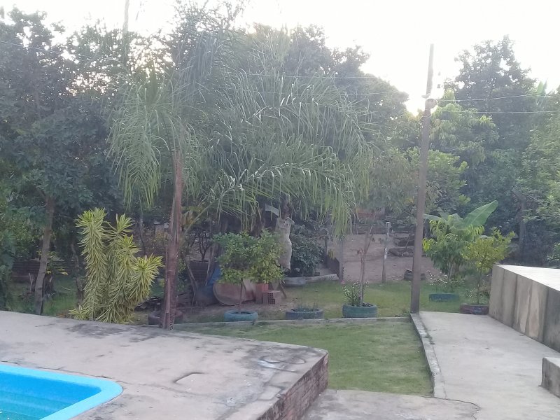Chácara à venda Recreio Alv com 1260m² e 3 quartos por R$ 400.000 - 1015923665-20190404-172034.jpg