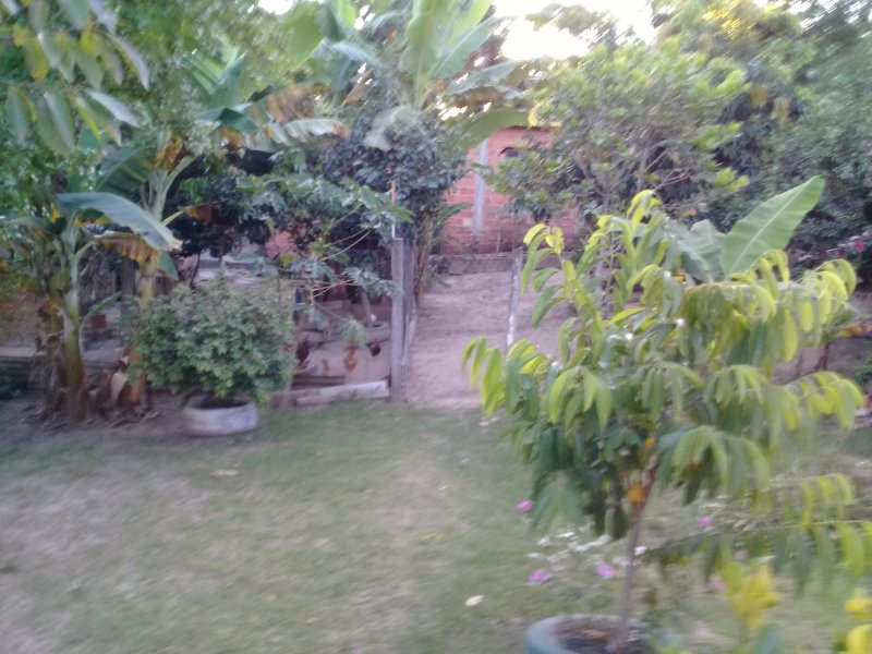 Chácara à venda Recreio Alv com 1260m² e 3 quartos por R$ 400.000 - 1108312581-20190402-172926.jpg