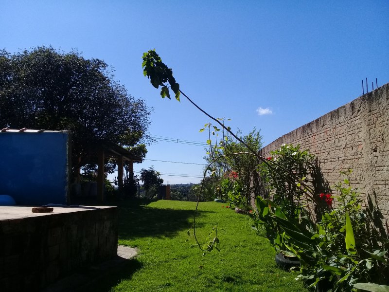 Chácara à venda Recreio Alv com 1260m² e 3 quartos por R$ 400.000 - 1904992837-20190323-094656.jpg