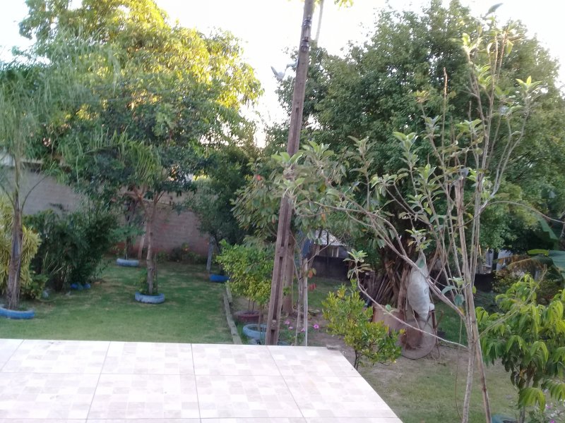 Chácara à venda Recreio Alv com 1260m² e 3 quartos por R$ 400.000 - 378446948-20190402-173033.jpg