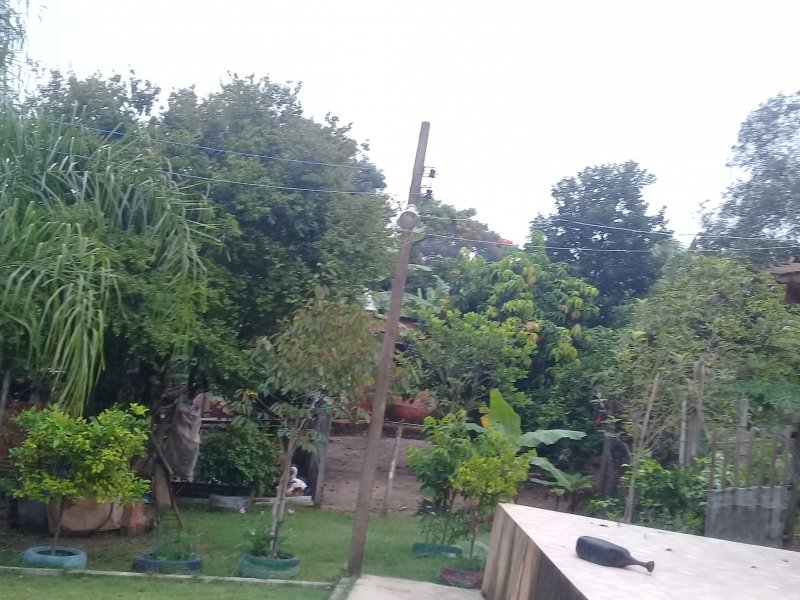 Chácara à venda Recreio Alv com 1260m² e 3 quartos por R$ 400.000 - 668347856-20190417-074844.jpg