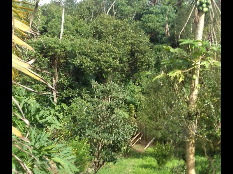 Chácara à venda Vl. Julia com 20m² e 3 quartos por R$ 400.000 - 288569112-img-20190417-wa0052.jpg