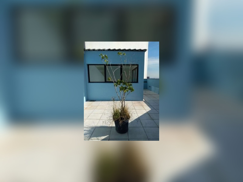 Cobertura à venda Pinheiros com 103m² e 2 quartos por R$ 1.440.000 - screenshot-20200912-111121-drive2.jpg