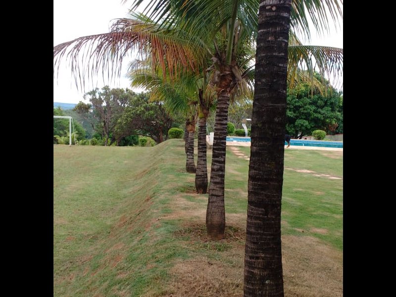Sítio à venda Sobradinho com 4400m² e 3 quartos por R$ 1.300.000 - 1559641242-img-20190416-wa0103.jpg