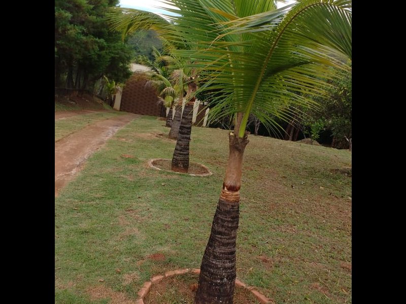 Sítio à venda Sobradinho com 4400m² e 3 quartos por R$ 1.300.000 - 1599434985-img-20190416-wa0095.jpg