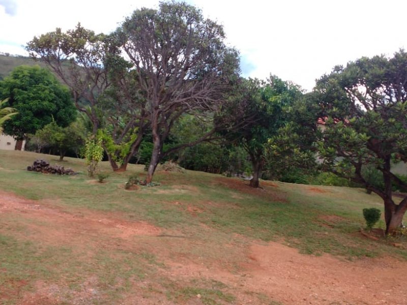 Sítio à venda Sobradinho com 4400m² e 3 quartos por R$ 1.300.000 - 543113603-img-20190416-wa0105.jpg
