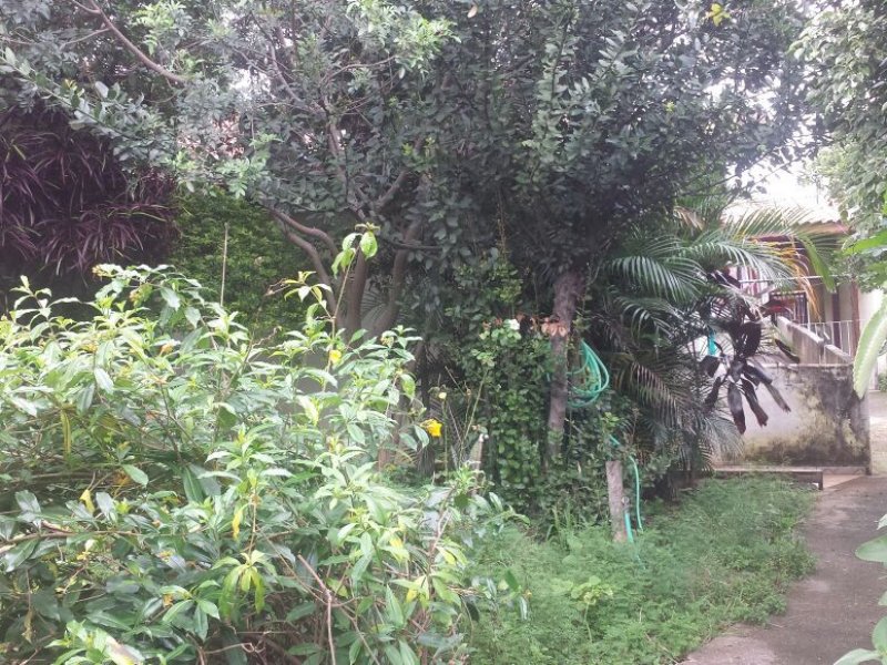 Casa à venda Chora Menino com 750m² e 3 quartos por R$ 1.300.000 - 2006279724-img-20180205-wa0006.jpg