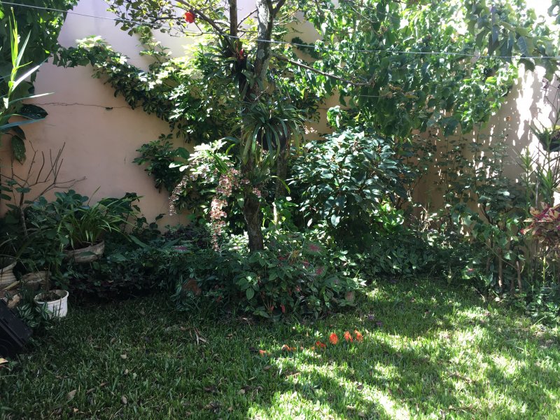 Casa à venda Vila Pires com 250m² e 3 quartos por R$ 695.000 - 377265821-f988c732-3a2e-4e74-889e-e5eb0ceba5ee.jpeg