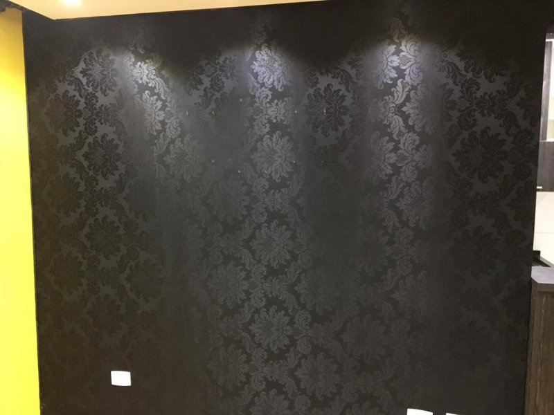 imóvel com 42m² - Rio Pequeno - São José dos Pinhais