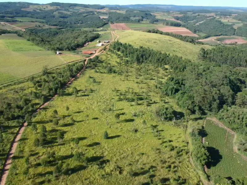 Sítio à venda Centro com 194000m² e 1 quarto por R$ 957.000 - 388032245-2.PNG