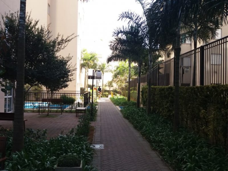 Apartamento à venda Nova Petrópolis com 54m² e 2 quartos por R$ 300.000 - 748398891-febe3be2-67c0-4c0c-a011-6bd839fdb18d.jpeg